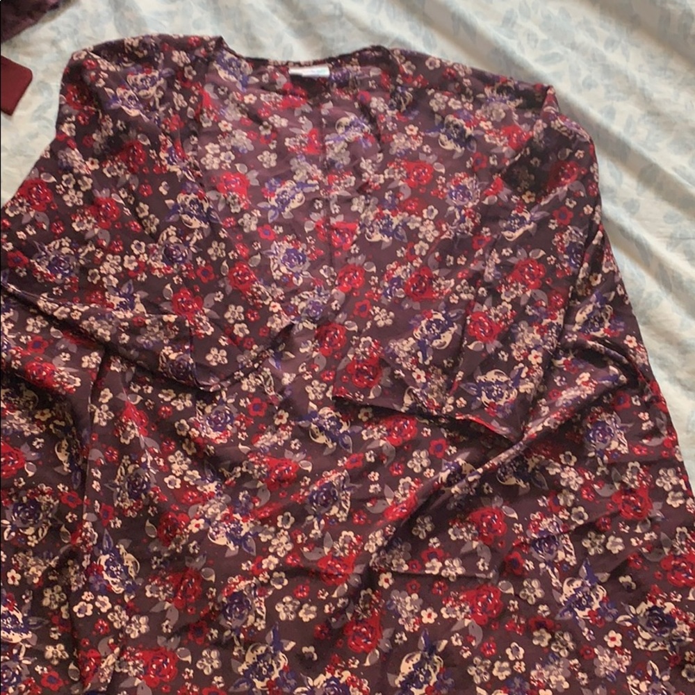 Just In - LLR lg Lindsay